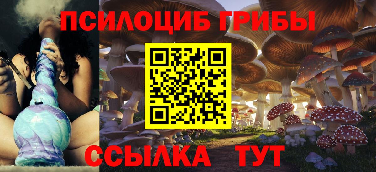 Галлюциногенные грибы GOLDEN TEACHER Мытищи
