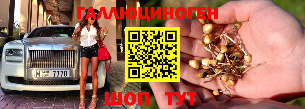 Галлюциногенные грибы Psilocybe  Псилоцибиновые грибы Psilocybine cubensis  Вход с VPN  Мытищи 